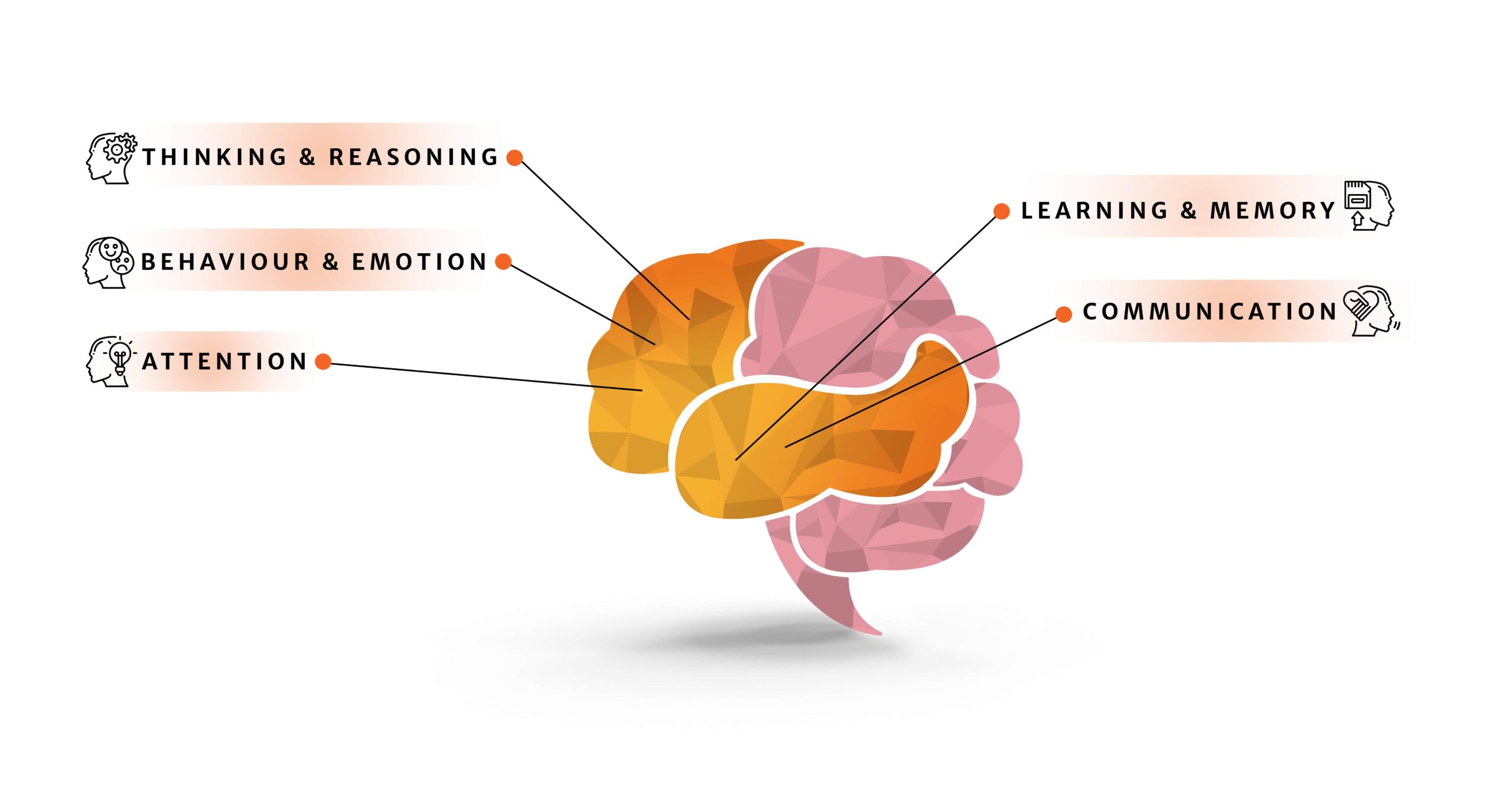 Examples of cognitive functions: thinking & reasoning, behaviour & emotion, attention, learning & memory, communication